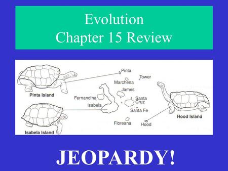 Evolution Chapter 15 Review