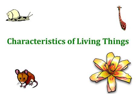 Characteristics of Living Things. What is Biology? 1.The study of living things (organisms) 2. The study of interactions of living things 3. -life -study.