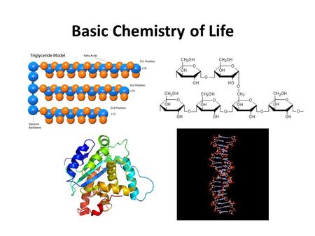 Basic Chemistry of Life. Matter anything that occupies space and has mass Composes elements C, H, O, and N make up 96% of human mass. C, H, O, N, P, and.