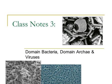 Class Notes 3: Domain Bacteria, Domain Archae & Viruses.