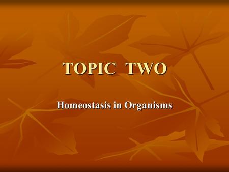 TOPIC TWO Homeostasis in Organisms. A. Homeostasis 1. Photosynthesis is carried out by plants, and algae (autotrophs). It takes the radiant energy of.