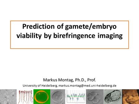 Prediction of gamete/embryo viability by birefringence imaging Markus Montag, Ph.D., Prof. University of Heidelberg,