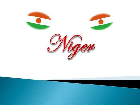  Officially named the Republic of Niger  Declared independence on August 3, 1960 from France.  Is a landlocked country.  Religion 95% are Moslem.