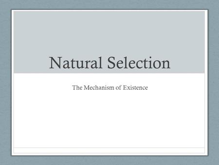 Natural Selection The Mechanism of Existence. Natural Selection Activity and discussion Darwin based his theory of natural selection on 3 sets of observations: