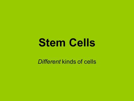 Stem Cells Different kinds of cells. Learning Objectives stem cells are unspecialised cells found in embryos and in some adult tissues such as bone marrow.