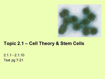 Topic 2.1 – Cell Theory & Stem Cells 2.1.1 - 2.1.10 Text pg 7-21.