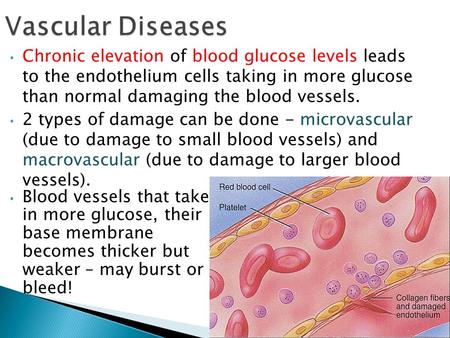 Chronic elevation of blood glucose levels leads to the endothelium cells taking in more glucose than normal damaging the blood vessels. 2 types of damage.