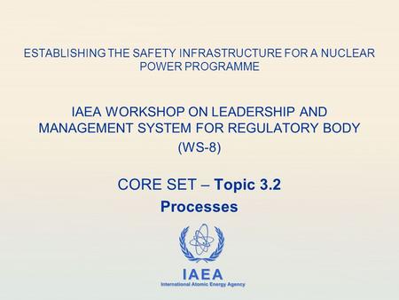 IAEA International Atomic Energy Agency ESTABLISHING THE SAFETY INFRASTRUCTURE FOR A NUCLEAR POWER PROGRAMME IAEA WORKSHOP ON LEADERSHIP AND MANAGEMENT.