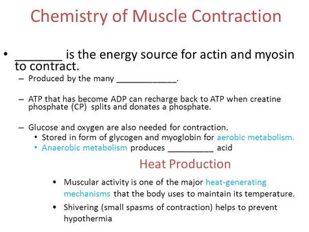 Chemistry of Muscle Contraction _______ is the energy source for actin and myosin to contract. – Produced by the many _____________. – ATP that has become.