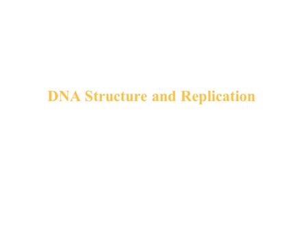 DNA Structure and Replication. Figure 16.5 The double helix.