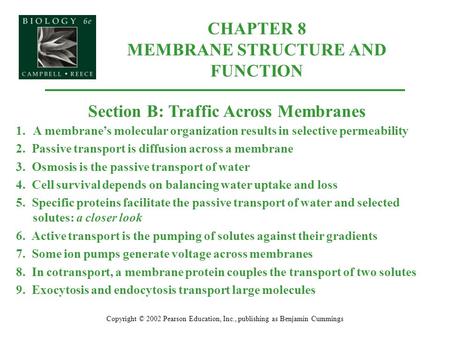 CHAPTER 8 MEMBRANE STRUCTURE AND FUNCTION Copyright © 2002 Pearson Education, Inc., publishing as Benjamin Cummings Section B: Traffic Across Membranes.