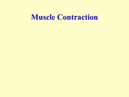 Muscle Contraction. Release of the appropriate array of inhibitory and stimulatory neurotransmitters in the brain will activate the appropriate motor.