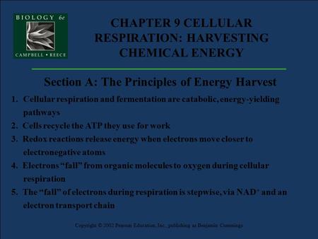 CHAPTER 9 CELLULAR RESPIRATION: HARVESTING CHEMICAL ENERGY Copyright © 2002 Pearson Education, Inc., publishing as Benjamin Cummings Section A: The Principles.