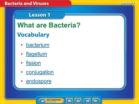Lesson 1 Reading Guide - Vocab bacterium flagellum fission conjugation endospore What are Bacteria?
