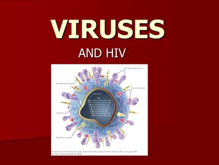 VIRUSES AND HIV.