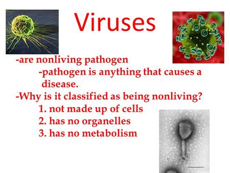 Viruses -are nonliving pathogen -pathogen is anything that causes a disease. -Why is it classified as being nonliving? 1. not made up of cells 2. has no.