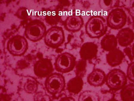 Viruses and Bacteria. Not So Harmless In The News.