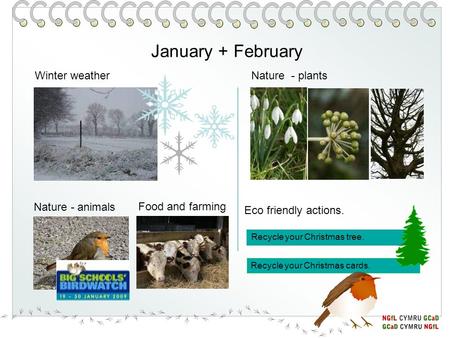 January + February Nature - animals Nature - plantsWinter weather Eco friendly actions. Recycle your Christmas tree. Recycle your Christmas cards. Food.