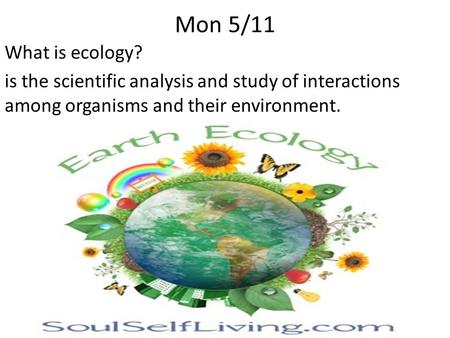 Mon 5/11 What is ecology? is the scientific analysis and study of interactions among organisms and their environment.
