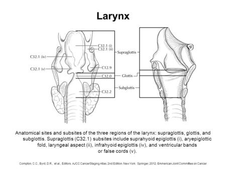 Larynx Anatomical sites and subsites of the three regions of the larynx: supraglottis, glottis, and subglottis. Supraglottis (C32.1) subsites include suprahyoid.