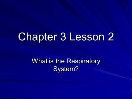 What is the Respiratory System?