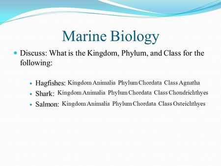 Marine Biology Discuss: What is the Kingdom, Phylum, and Class for the following: Hagfishes: Shark: Salmon: Kingdom Animalia Phylum Chordata Class Agnatha.