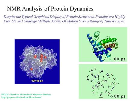 NMR Analysis of Protein Dynamics Despite the Typical Graphical Display of Protein Structures, Proteins are Highly Flexible and Undergo Multiple Modes Of.