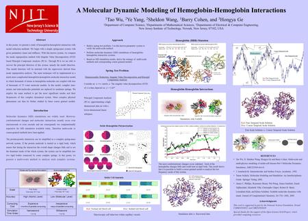 A Molecular Dynamic Modeling of Hemoglobin-Hemoglobin Interactions 1 Tao Wu, 2 Ye Yang, 2 Sheldon Wang, 1 Barry Cohen, and 3 Hongya Ge 1 Department of.