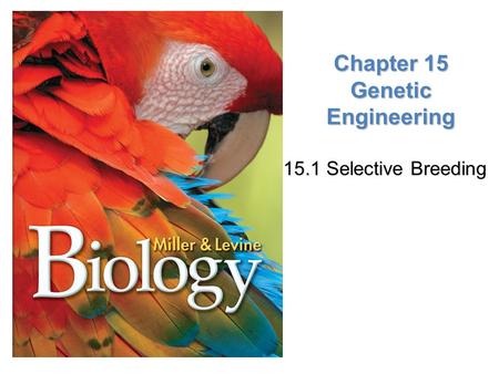 Lesson Overview Lesson Overview Meeting Ecological Challenges Chapter 15 Genetic Engineering 15.1 Selective Breeding 15.1 Selective Breeding.