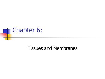 Chapter 6: Tissues and Membranes.