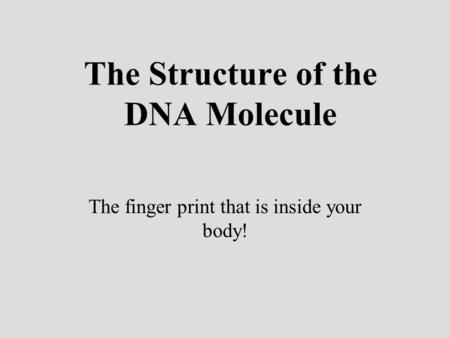 The Structure of the DNA Molecule