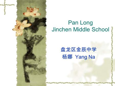 Pan Long Jinchen Middle School 盘龙区金辰中学 杨娜 Yang Na.
