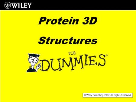 © Wiley Publishing. 2007. All Rights Reserved. Protein 3D Structures.