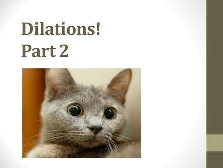 Dilations! Part 2. 43210 In addition to level 3.0 and above and beyond what was taught in class, I may:  Make connection with real-world situations 