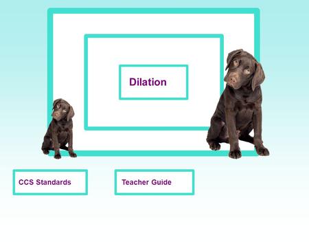 Teacher GuideCCS Standards Dilation. Dim Light Normal Light Aim: What is meant by dilation? Do Now: Using the image below, compare the size of the lady's.