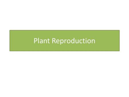 Plant Reproduction. How does reproduction occur in plants? Growers produce new plants by asexual reproduction all the time. New cells can be developed.