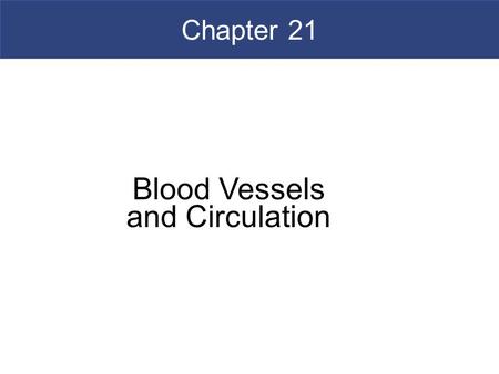 Blood Vessels and Circulation