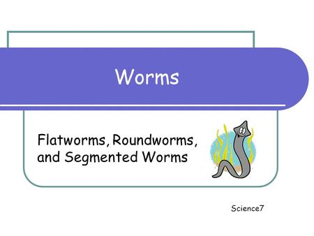 Worms Flatworms, Roundworms, and Segmented Worms Science7.
