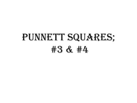 Punnett Squares; #3 & #4.