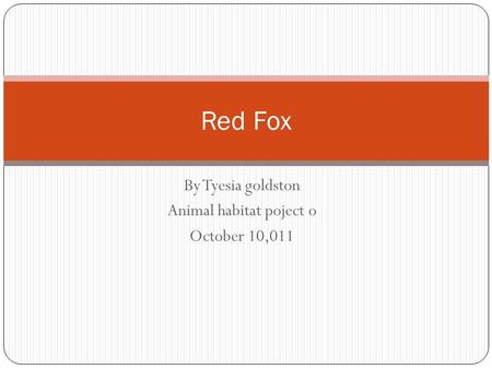 By Tyesia goldston Animal habitat poject o October 10,011 Red Fox.