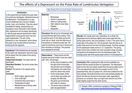 The effects of a Depressant on the Pulse Rate of Lumbriculus Variegatus Introduction : In this experiment we studied the pulse rates of Lumbriculus Variegatus,
