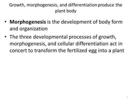 Growth, morphogenesis, and differentiation produce the plant body Morphogenesis is the development of body form and organization The three developmental.