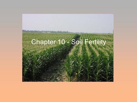 Chapter 10 - Soil Fertility. Essential Plant Nutrients - 14 are Mineral Based Macros - N, P, K, Ca, Mg, S Micros - B, Cu, Cl, Fe, Mn, Mo, Zn, Ni.