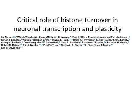 Critical role of histone turnover in neuronal transcription and plasticity.
