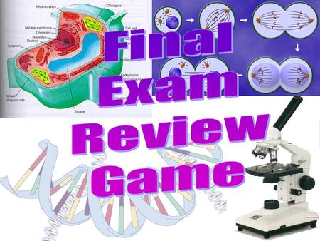 Final Exam Review Game Final Exam Review Game Final Exam Review Game