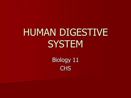 HUMAN DIGESTIVE SYSTEM Biology 11 CHS. DIGESTIVE SYSTEM.