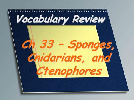 Ch 33 – Sponges, Cnidarians, and Ctenophores