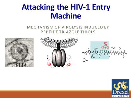 Attacking the HIV-1 Entry Machine MECHANISM OF VIROLYSIS INDUCED BY PEPTIDE TRIAZOLE THIOLS.