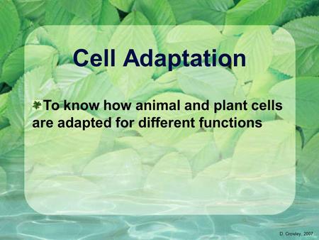 Cell Adaptation To know how animal and plant cells are adapted for different functions D. Crowley, 2007.