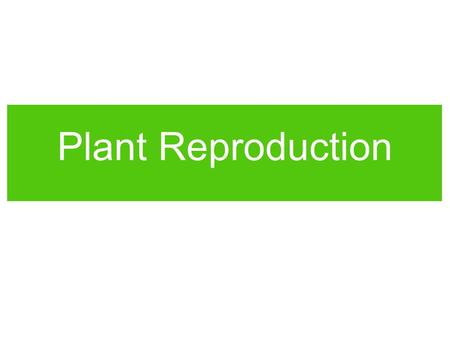 Plant Reproduction Asexual Reproduction Asexual reproduction is natural “cloning.” Parts of the plant, such as leaves or stems, produce roots and become.